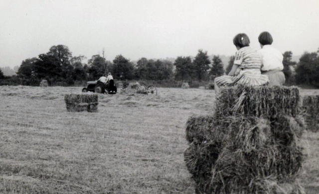 Farmer_brookes_susan