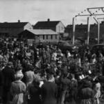 Saltford Carnival 1956