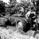 Farmer Brookes hay pit 1