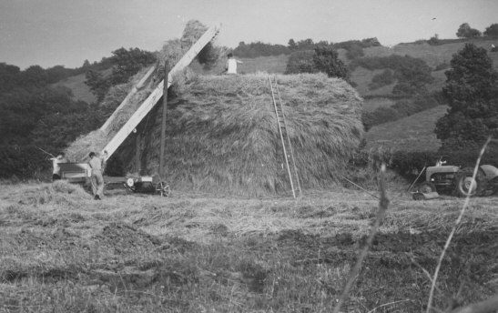 hay stack2